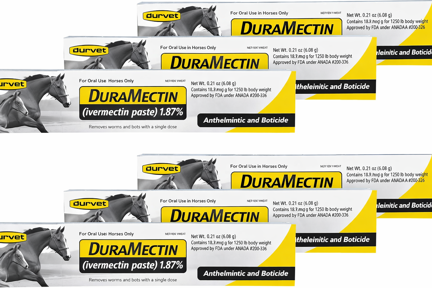 Duramectin Equine Wormer Paste for Animals – Oral Dewormer – 6 Tubes