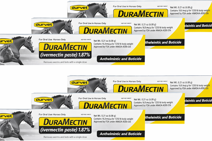 Duramectin Equine Wormer Paste for Animals – Oral Dewormer – 6 Tubes